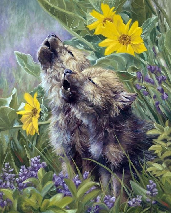 Картины по номерам 40х50 Маленькие волчата (VA-2609) — PalitraMastera