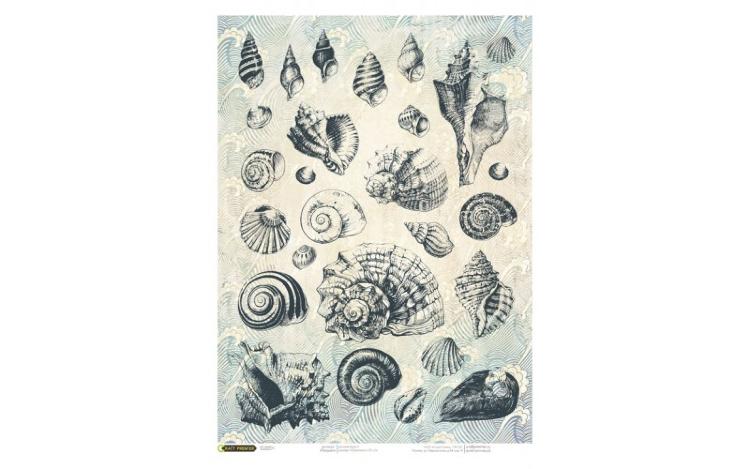 Рисовая бумага для декупажа &quot;Ракушки&quot; Craft Premier, А4, 25г/м CPD0633-1 — PalitraMastera