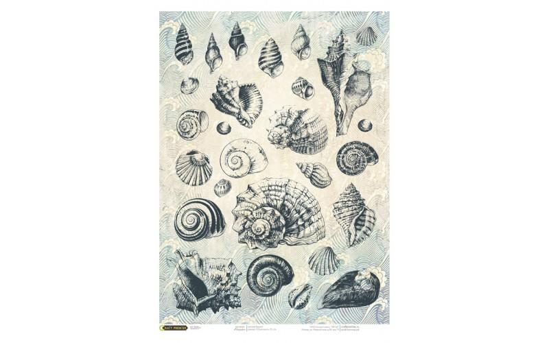 Рисовая бумага для декупажа "Ракушки" Craft Premier, А4, 25г/м CPD0633-1 фото 1 — PalitraMastera