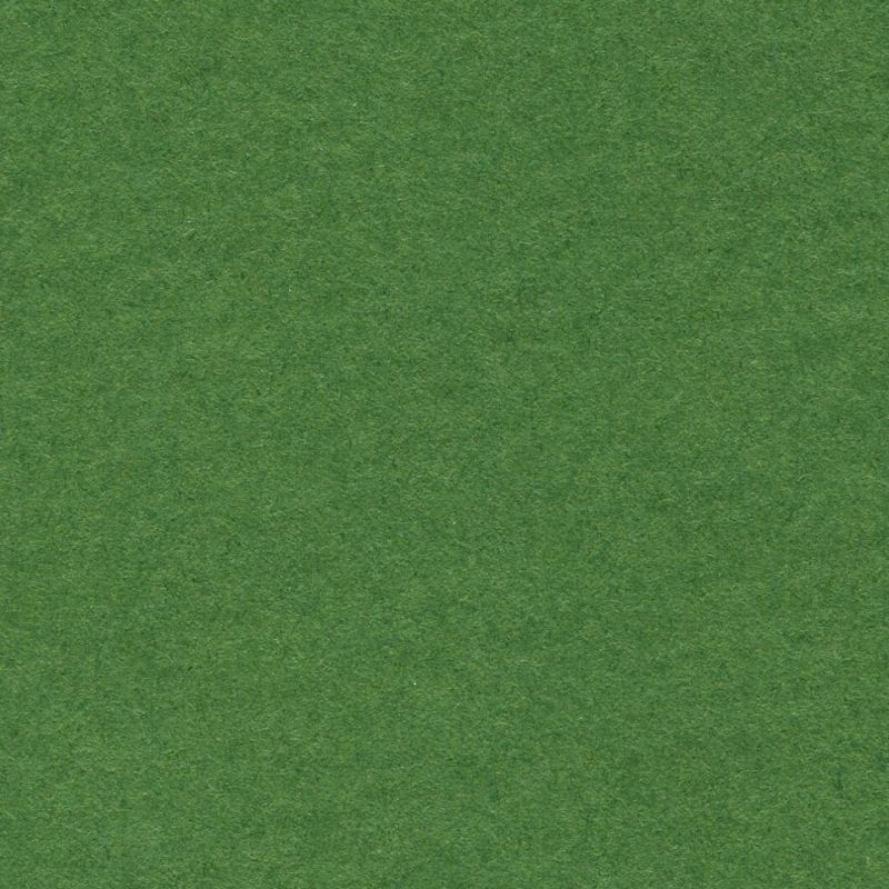 Бумага для пастели Lana, зеленый еловый, 50х65 ( хлопок 45%) --- фото 1 &mdash; PalitraMastera