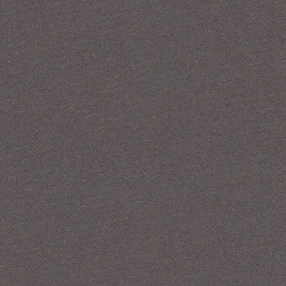 Бумага для пастели Lana, мокко, 50х65 ( хлопок 45%) --- фото 1 &mdash; PalitraMastera