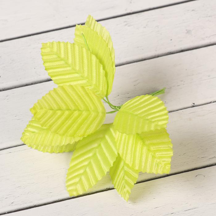 Декор для творчества "Лист березы" светло-зелёный (1 набор=1 букету) в букете 10 шт  2902526 фото 1 — PalitraMastera