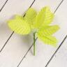 Декор для творчества "Лист березы" светло-зелёный (1 набор=1 букету) в букете 10 шт  2902526 фото 2 — PalitraMastera