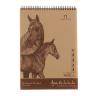 Альбом д/эскизов на пружине "Арабчики" А-3 на картоне 50 л., 70 г/м2 /ЛХ фото 1 — PalitraMastera