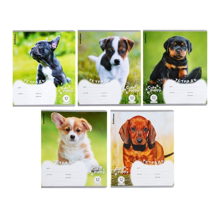 Тетрадь 12 листов в клетку ErichKrause "Щенки", обложка мелованный картон, блок офсет, микс фото 1 — PalitraMastera