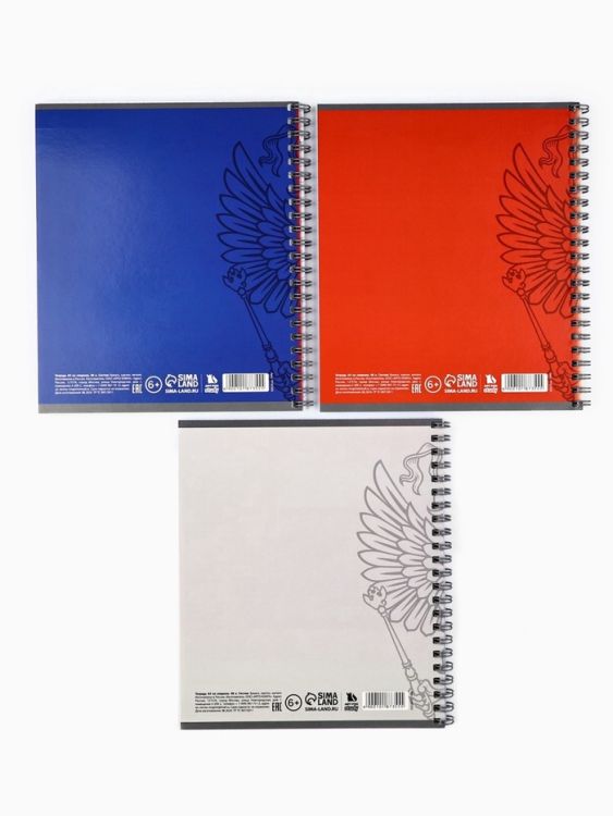 Тетрадь в клетку 48 листов А5, на спирали, внутренний блок №1 «Патриотизм» МИКС — PalitraMastera