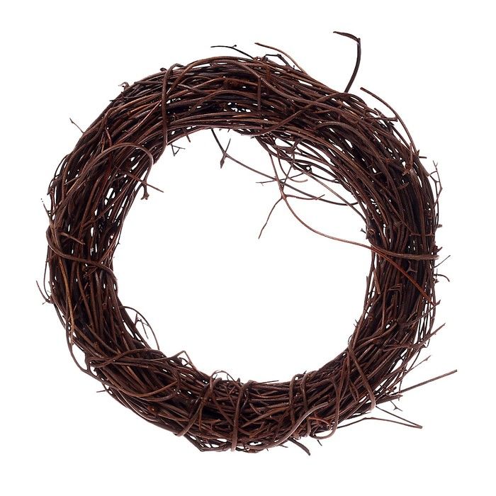 Папоротник сухой, венок — 8 см — PalitraMastera