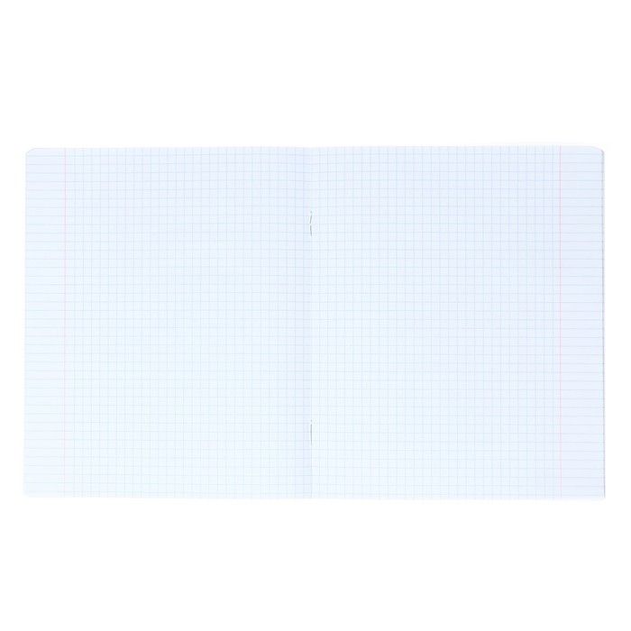 Тетрадь 12 листов в клетку ErichKrause &quot;Capybara Travel&quot;, выборочный УФ-лак — PalitraMastera