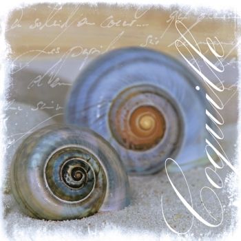 Салфетка бумажная для декупажа, 33х33 см, &quot;Ракушки&quot; АКЦИЯ!!! — PalitraMastera