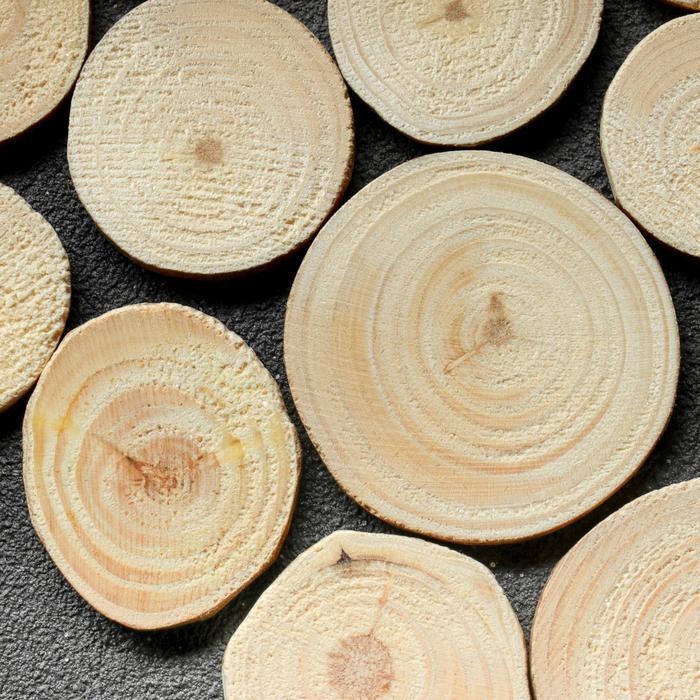 Спил &quot;Сосновый&quot;, круглый, d=3-4 см, h=3,5 мм, — PalitraMastera