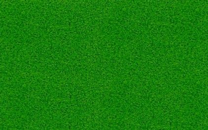 Лист ЭВА арт.16 (179) (темно-зеленый) фото 1 &mdash; PalitraMastera