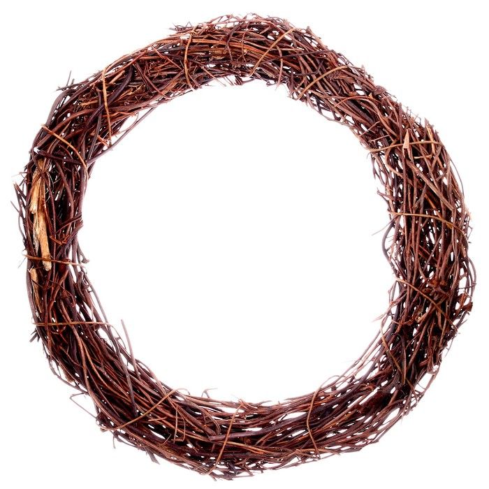 Папоротник сухой «Венок» — 15 см — PalitraMastera