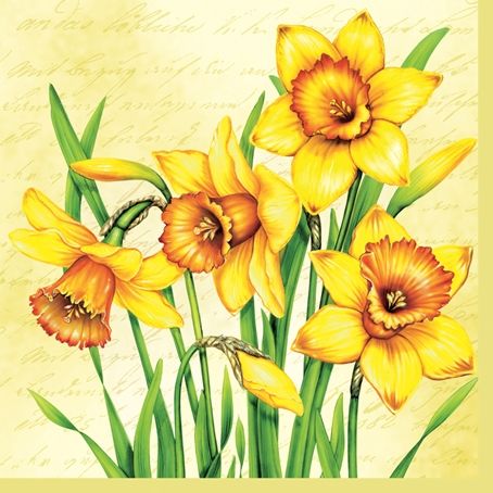 Салфетки - трехслойные, Maki, 20 шт, 33х33 см   . Нарциссы фото 1 &mdash; PalitraMastera