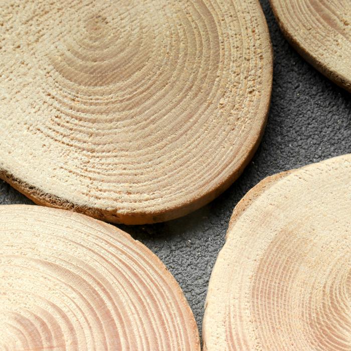 Спил &quot;Еловый&quot;, круглый, d=4-7 см, h=5 мм — PalitraMastera