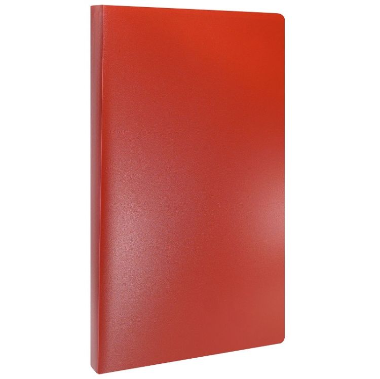 Папка с файлами LITE А4 40 файлов красн. пластик 500 мкм — PalitraMastera