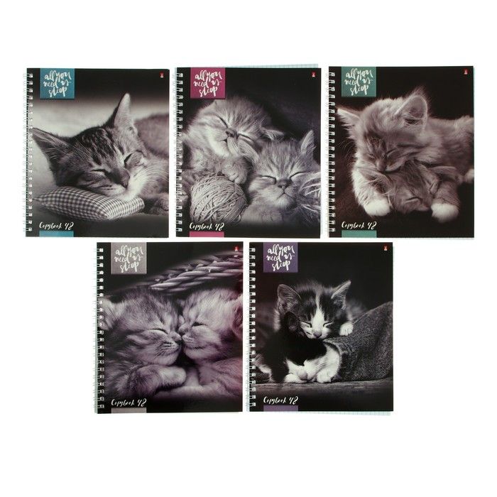 Тетрадь А5+, 48 листов в клетку на гребне &quot;Котята мур-мур&quot;, обложка мелованный картон, глянцевая ламинация, МИКС — PalitraMastera