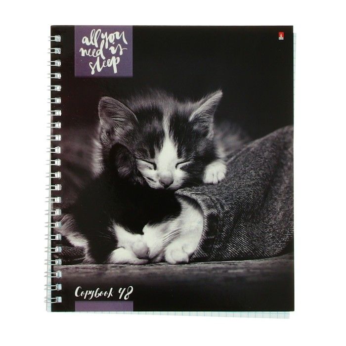 Тетрадь А5+, 48 листов в клетку на гребне &quot;Котята мур-мур&quot;, обложка мелованный картон, глянцевая ламинация, МИКС — PalitraMastera