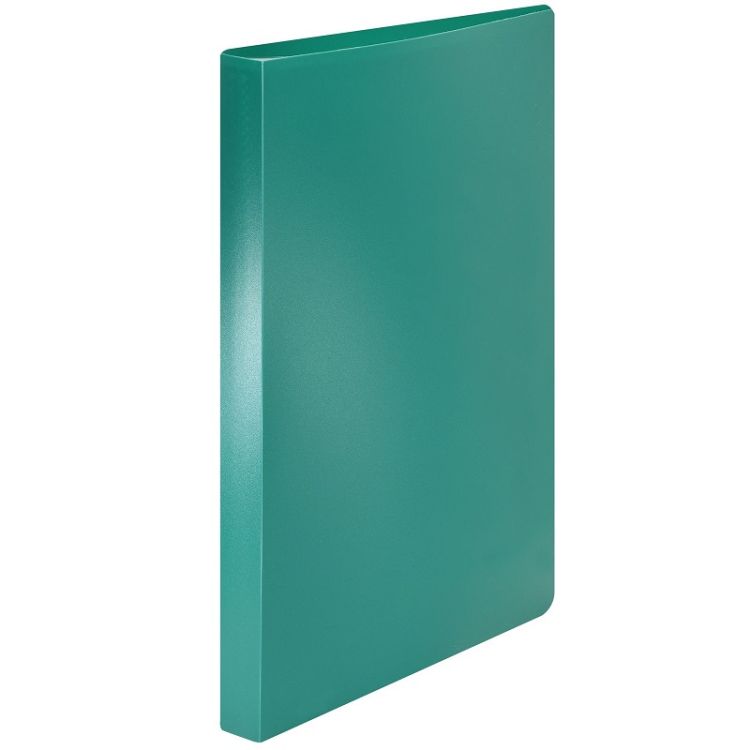 Папка с файлами LITE А4 40 файлов зелен. пластик 500 мкм — PalitraMastera