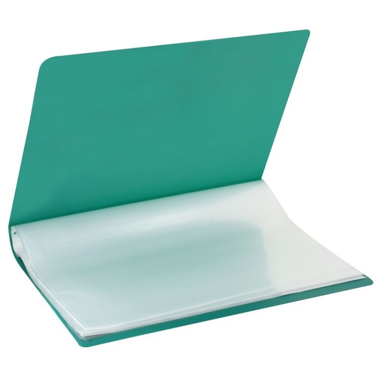 Папка с файлами LITE А4 40 файлов зелен. пластик 500 мкм — PalitraMastera