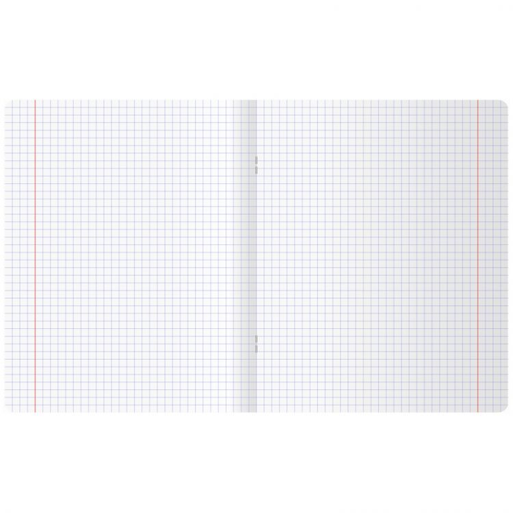 Тетрадь 12л., клетка BG &quot;Чудесный день&quot;, эконом — PalitraMastera