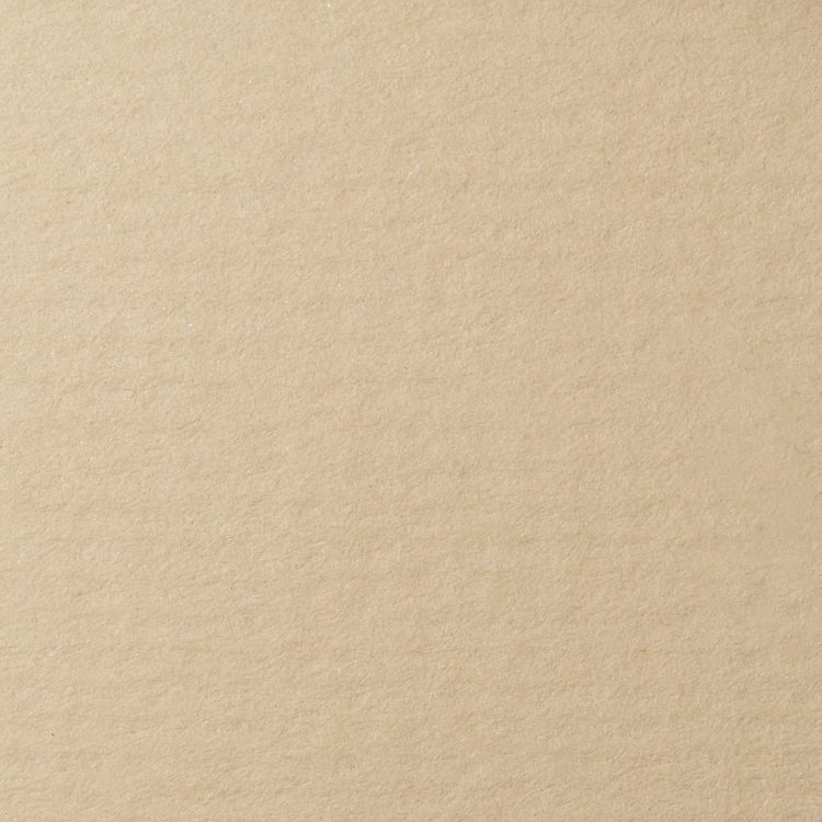 LANA Бумага для пастели,  70х100, белый серый ( хлопок 45%) — PalitraMastera