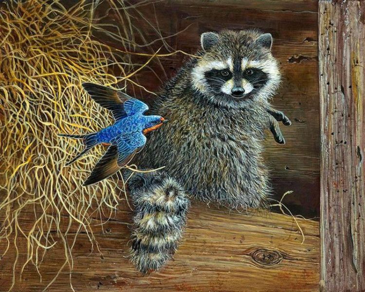 Картины по номерам 40х50 Енот и птичка (VA-0947) — PalitraMastera