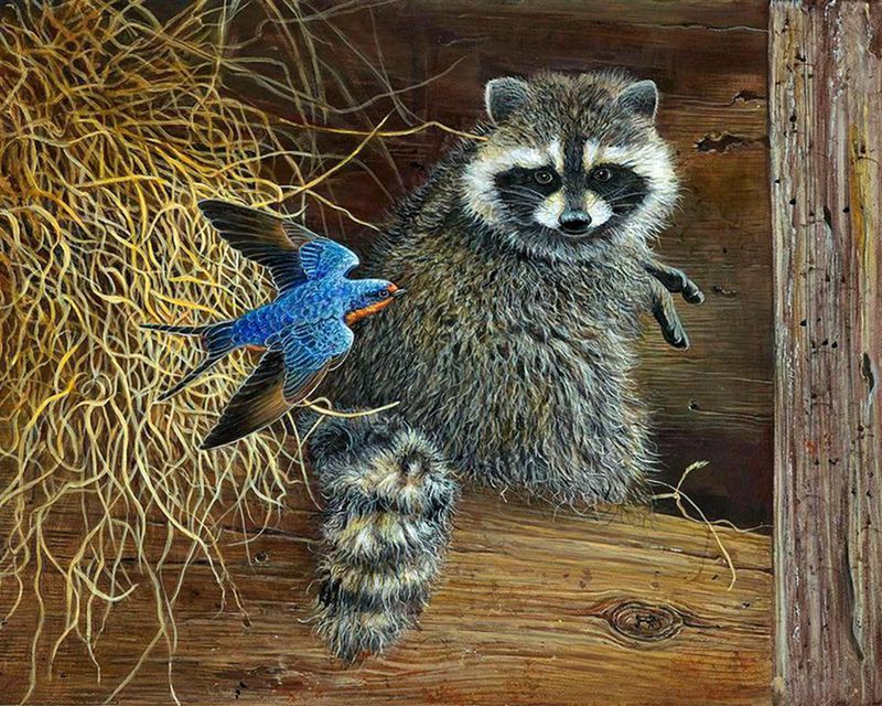 Картины по номерам 40х50 Енот и птичка (VA-0947) фото 1 — PalitraMastera
