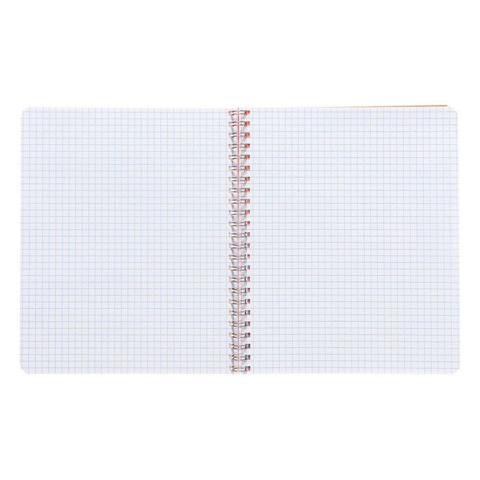 Тетрадь A5 на гребне, 48 листов в клетку, Calligrata, пластиковая обложка, оранжевая — PalitraMastera