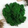 Мох стабилизированный "Зелёный" 45 гр (+-5 гр). 4722177 фото 1 — PalitraMastera
