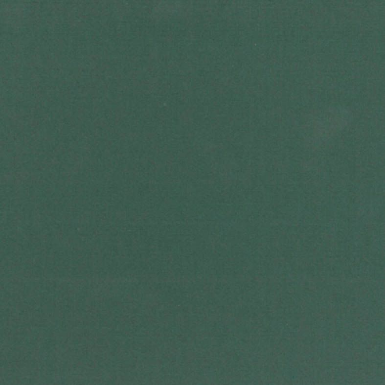 Бумага Ingres, для пастели, 1 лист, 130 гр/м2, 50х65 см, цвет насыщенно-зеленый фото 1 &mdash; PalitraMastera