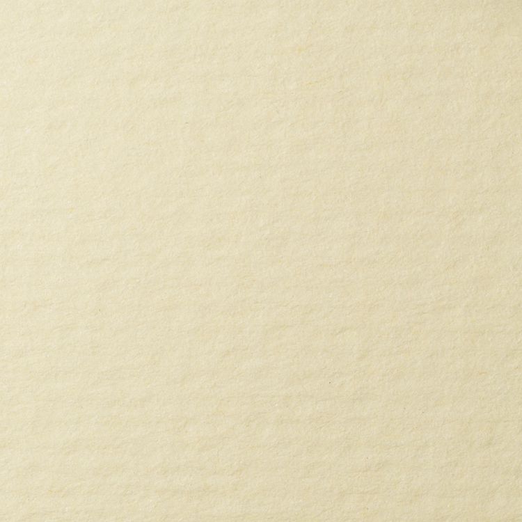 LANA Бумага для пастели,  70х100, кремовый ( хлопок 45%) — PalitraMastera