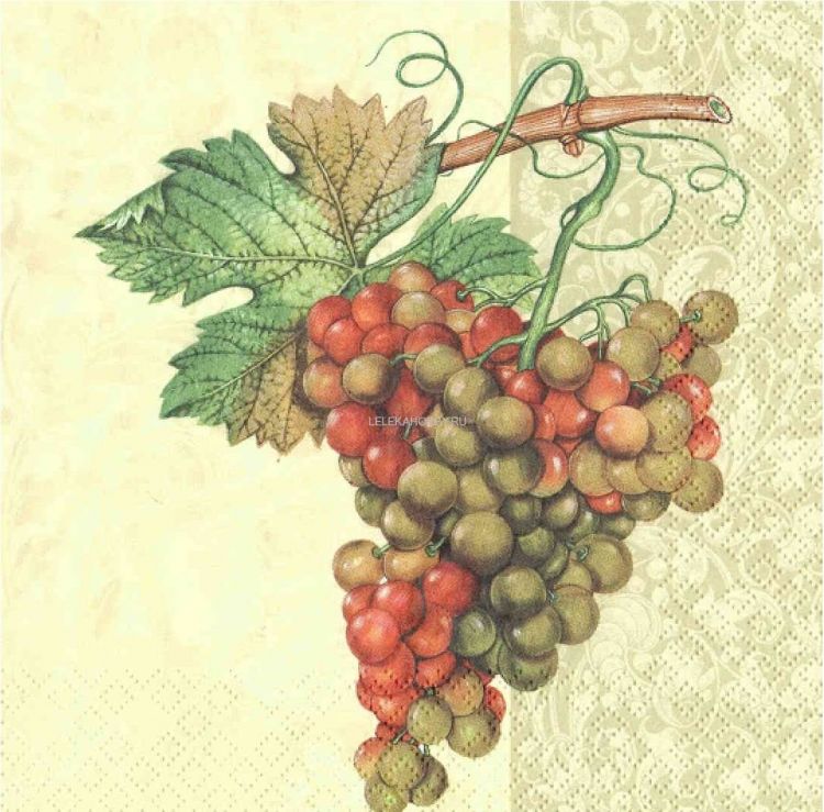 Салфетки - трехслойные, Maki, 33х33 см, гроздь винограда, бежевый орнамент — PalitraMastera