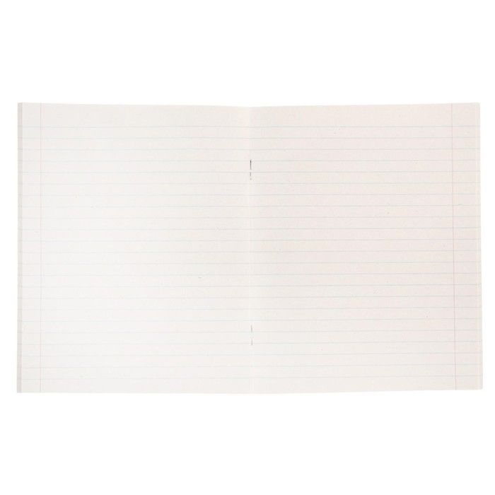 Тетрадь, 48 листов, линейка, Орнамент, обложка мелованный картон, блок №2, белизна 75% — PalitraMastera