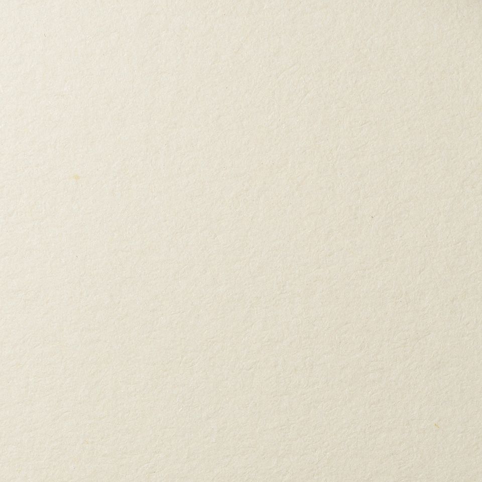 LANA Бумага для пастели,  70х100, слоновая кость ( хлопок 45%) фото 1 — PalitraMastera