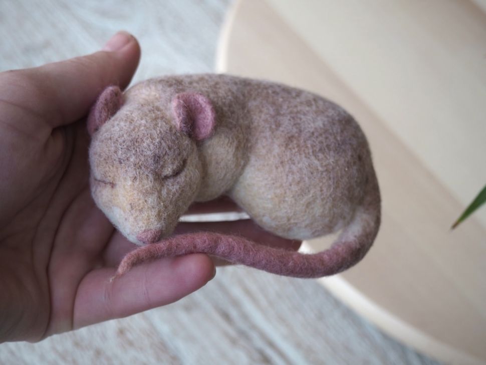 Спящая мышь фото 1 — PalitraMastera