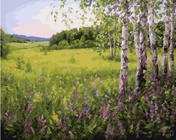 Картина по номерам GX 23042 Березки на лугу 40*50 фото 1 &mdash; PalitraMastera