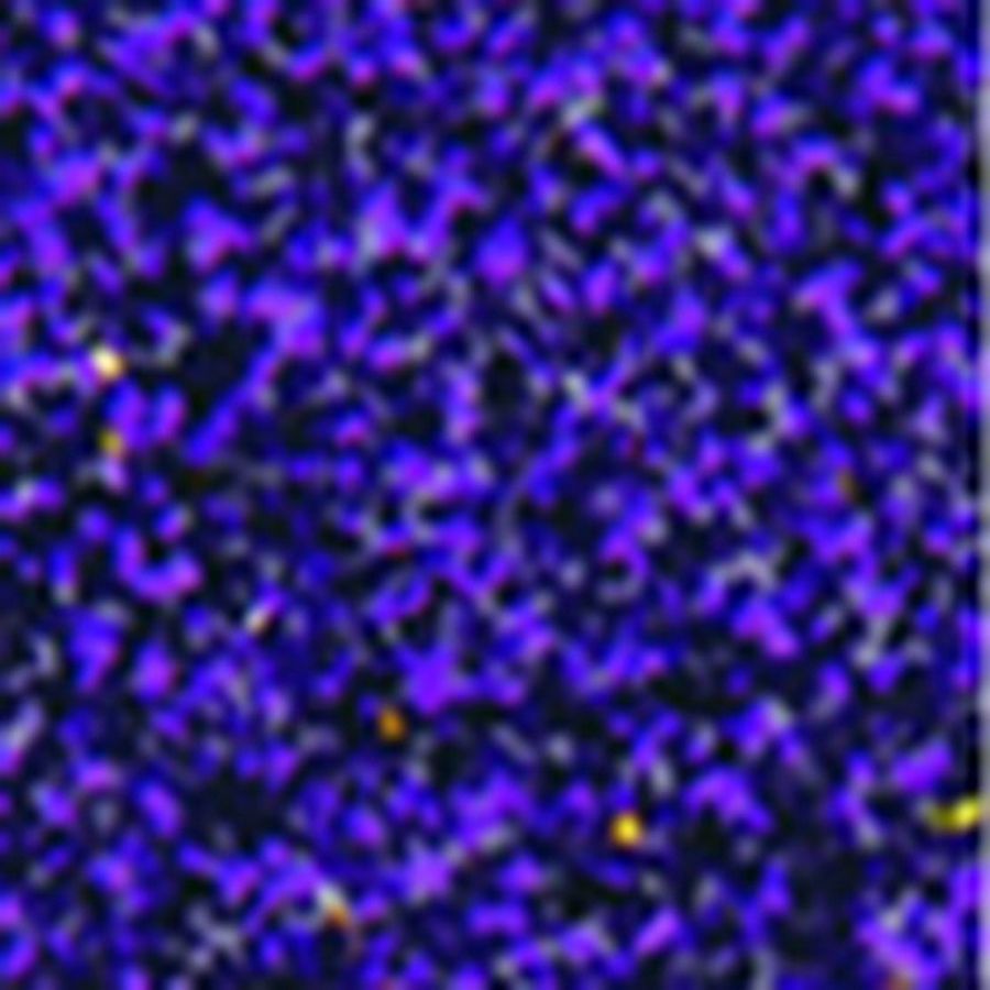 Блестки декоративные Декола, размер 0,3 мм, ультрамарин фото 1 — PalitraMastera