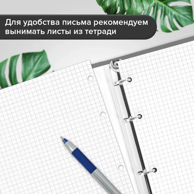 Тетрадь на кольцах А5 160х212мм, 120л, картон, матовая ламинация, клетка, BRAUBERG, В горах, 404724 &mdash; PalitraMastera
