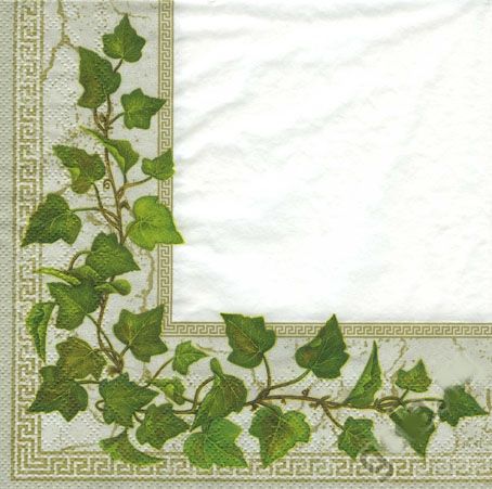 Салфетка трехслойная  для декупажа "Плющ", Maki 33х33 см, 20шт   . фото 1 — PalitraMastera