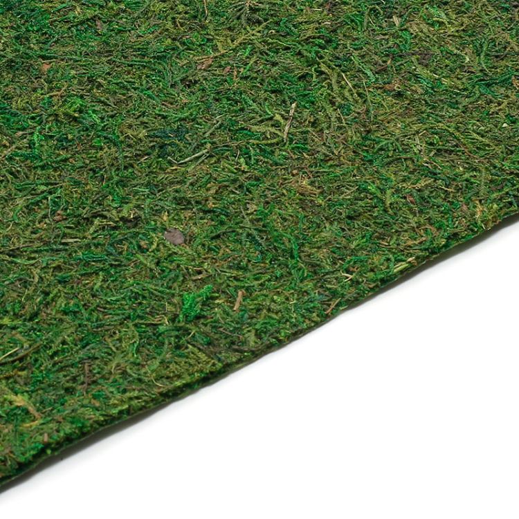 BH181AN Мох листовой 30*30*0.5см — PalitraMastera