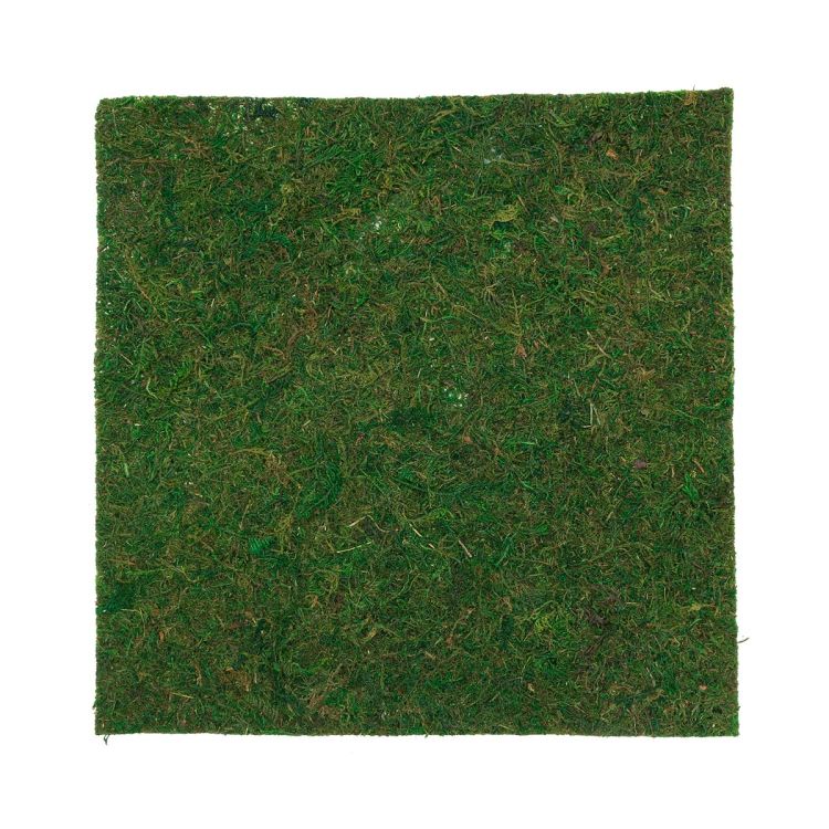 BH181AN Мох листовой 30*30*0.5см — PalitraMastera