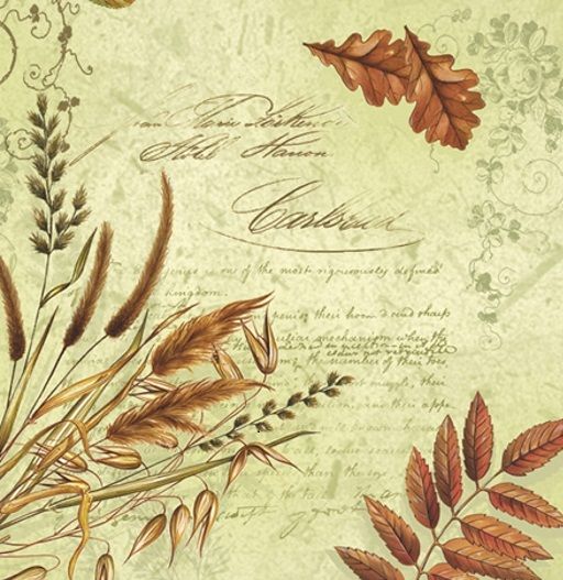 Салфетки - трехслойные, Maki, 33х33 см, осенние листья, письмо, травы — PalitraMastera