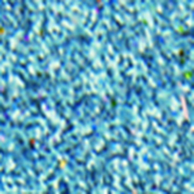 Блестки декоративные Декола, размер 0,3 мм, небесно-голубой — PalitraMastera