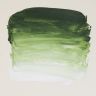 Sennelier Масляная краска «Rive Gauche», туба 40 мл, травяной зеленый фото 2 — PalitraMastera