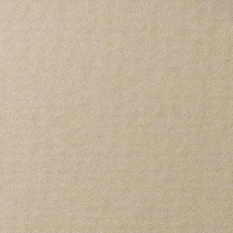 Бумага для пастели Lana, жемчужный, 50х65 ( хлопок45%) — PalitraMastera