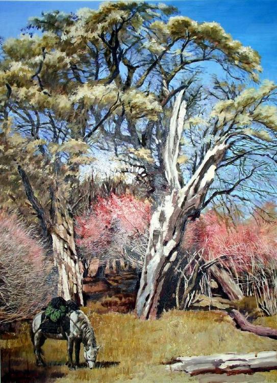 Холст на картоне с контуром, 30х40 см,Лошадь — PalitraMastera