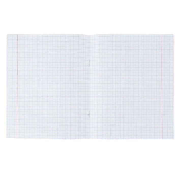 Тетрадь 12 листов в клетку "Котята", обложка мелованный картон, ВД-лак, блок офсет, МИКС (5 видов в спайке) &mdash; PalitraMastera