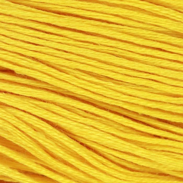 Нитки мулине, 10 ± 1 м, цвет светло-жёлтый №0209 — PalitraMastera