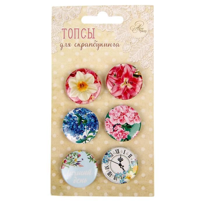 Набор топсов (фишек) для скрапбукинга &quot;Весенняя симфония&quot;, 7 х 13 см  1220696 — PalitraMastera