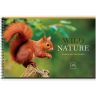Альбом для рисования 40л., А4, на гребне BG "Wild nature" фото 2 — PalitraMastera